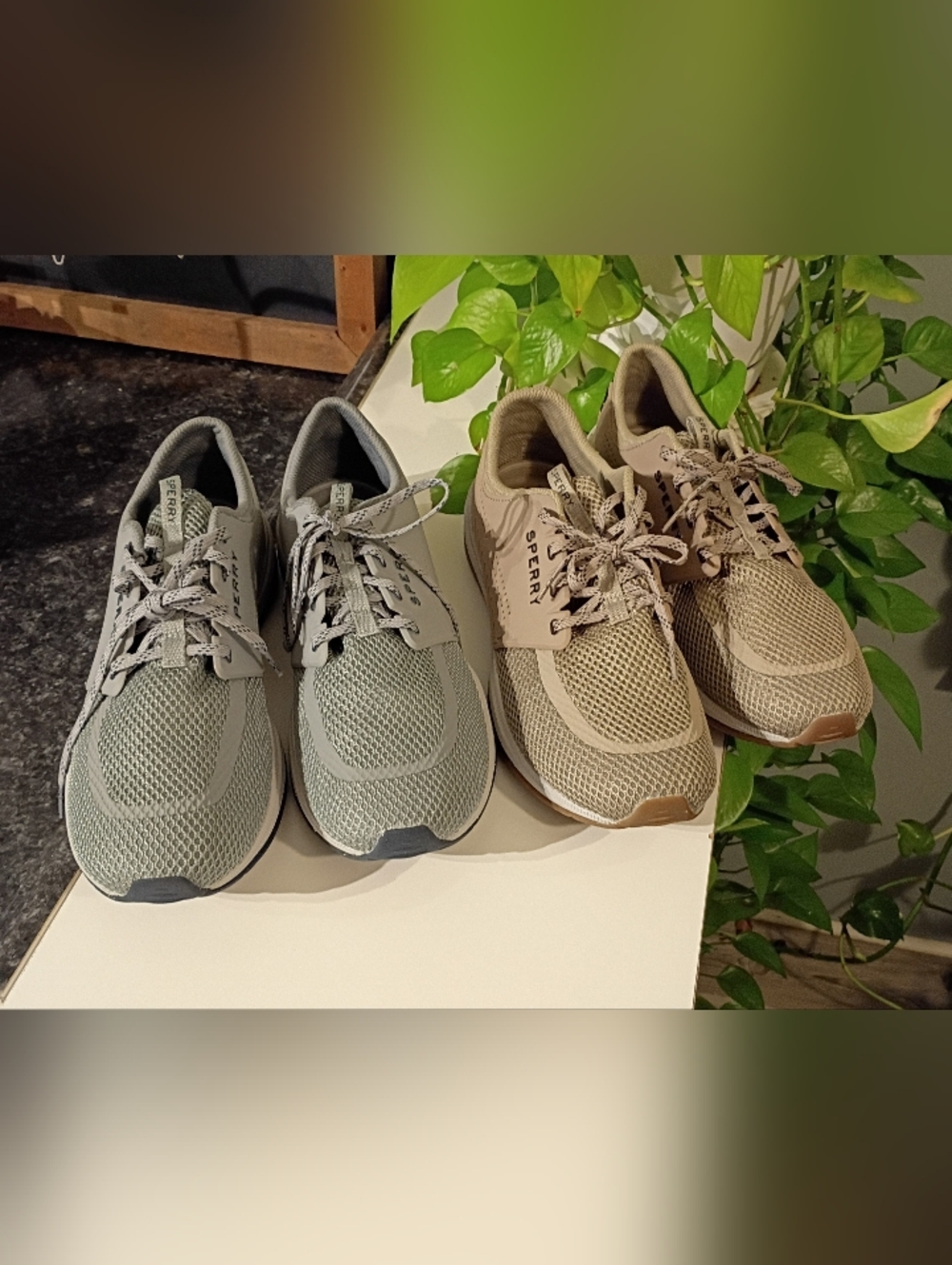 Sperry Men's Mesh Lace-Up Sneakers in Gray and Tan
